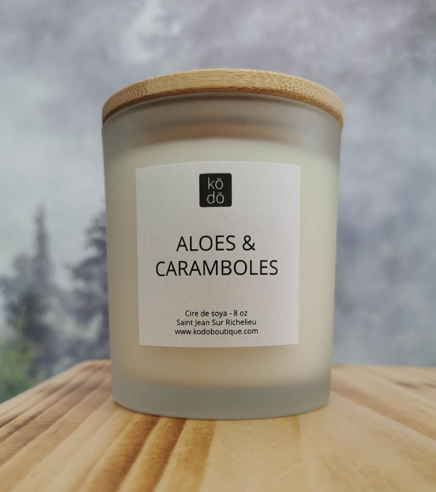 Chandelle Aloès et Carambole