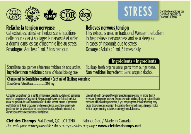 Scutellaire - Relâche la tension nerveuse et le stress - Clef des champs - 50ml