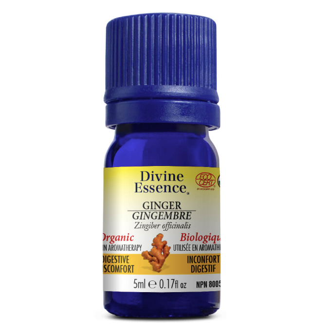 Gingembre - Divine Essence - 5ml