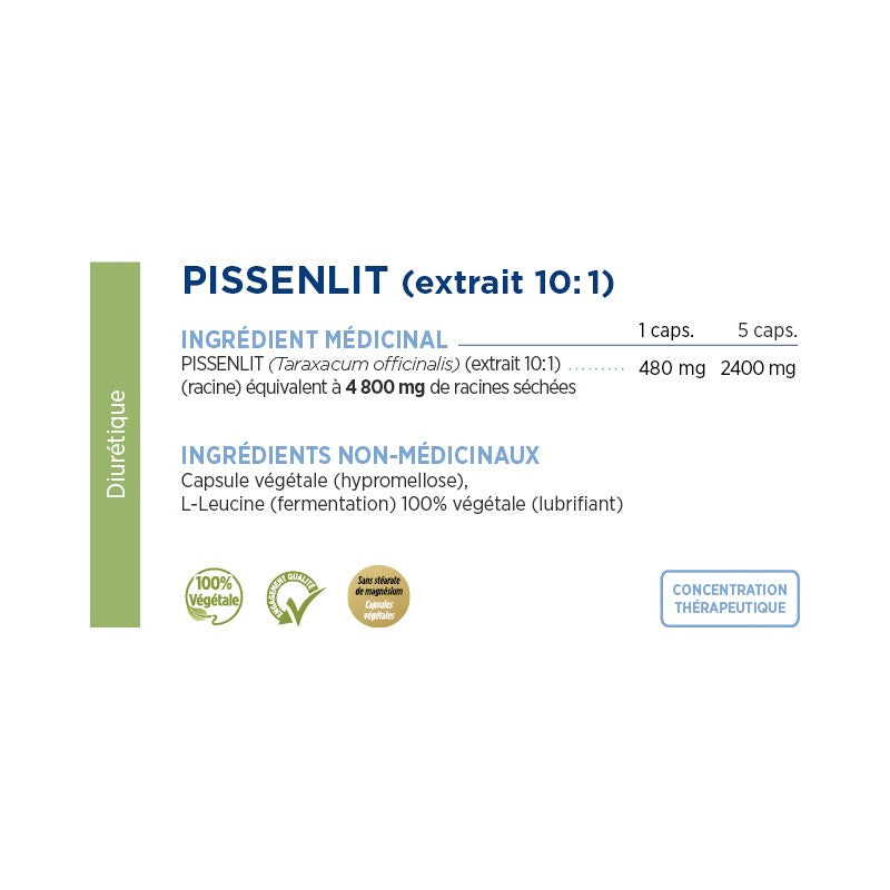 Extrait de pissenlit (extrait racine 10:1) - 480mg - Gammaforce - 60 capsules