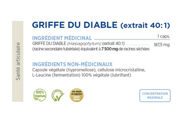 Griffe du diable - Gamma Force- 60 capsules