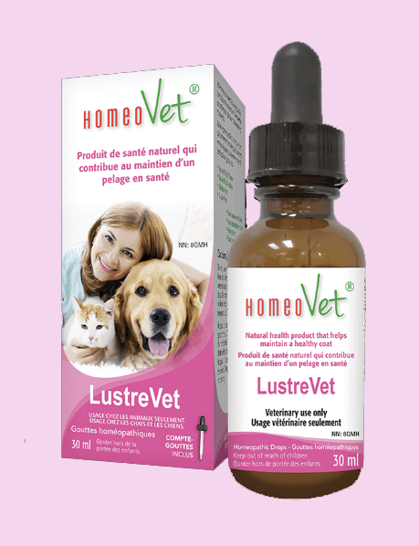 Homeovet - LustreVet - 30ml