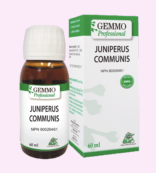 Juniperus Communis - Bio- 60ml - GEMMO Professional