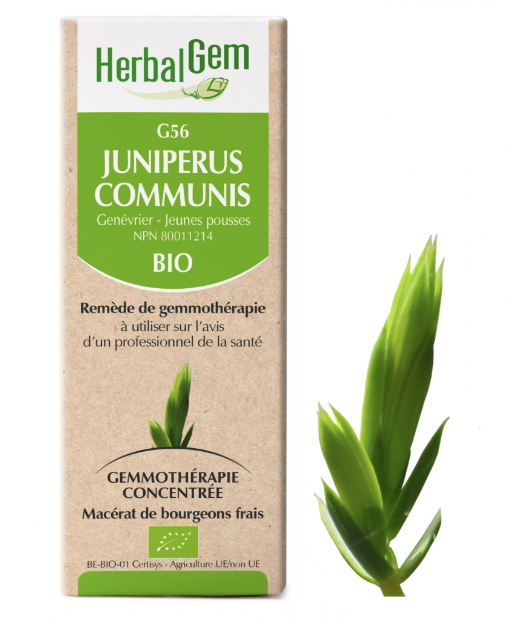 G56 - Juiniperus Communis - Herbalgem