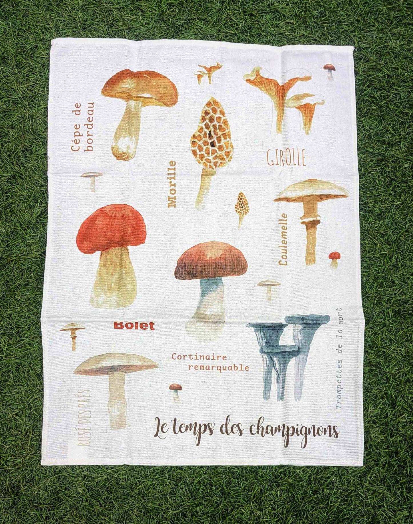 Linge à vaisselle 100% coton - Le temps des champignons