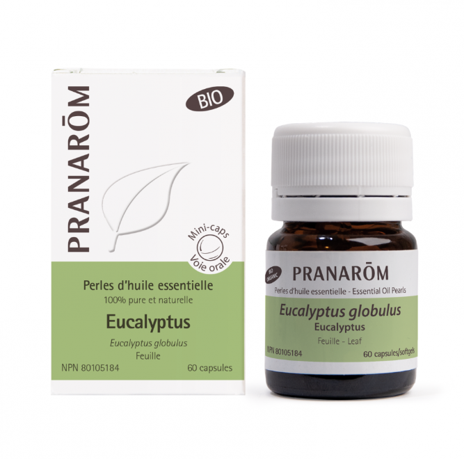 Eucalyptus - Perles d'huile essentielle - Pranarom