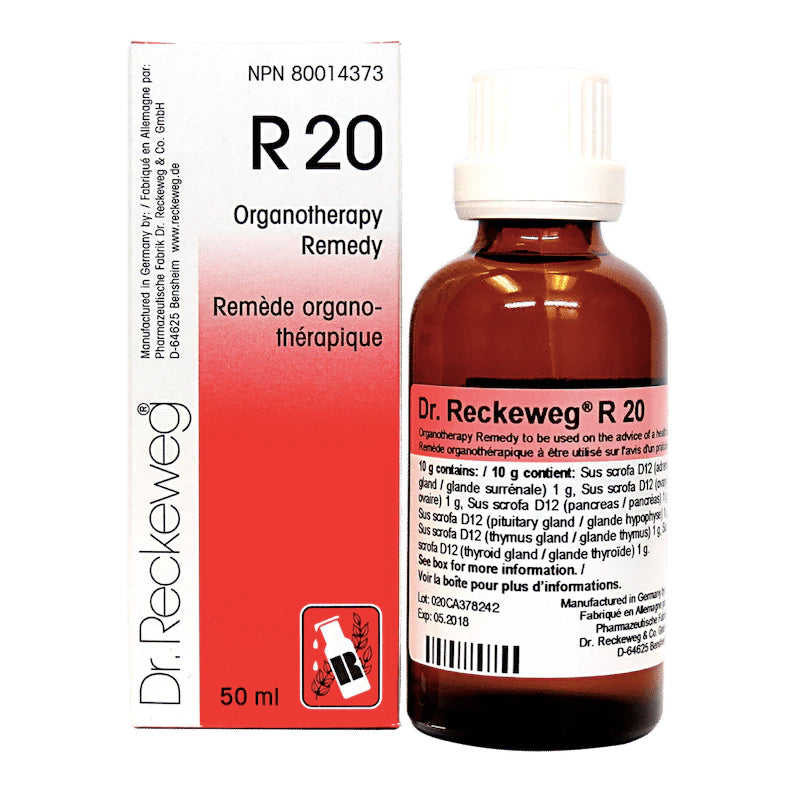 R20 - Perturbations du système glandulaire (hormonal) féminin - Reckeweg - 50ml