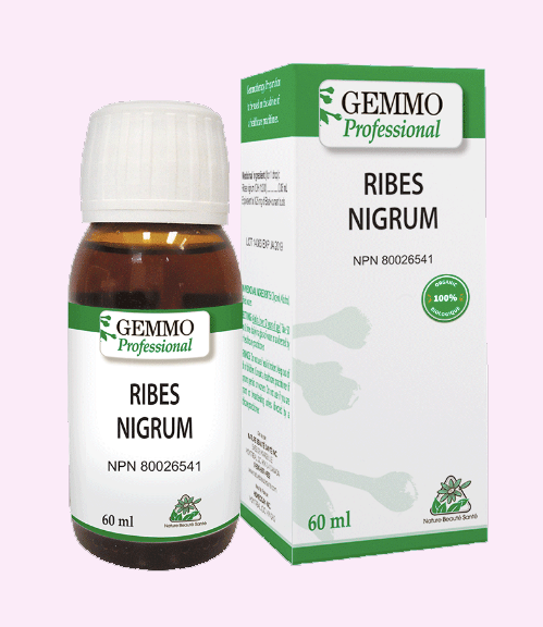 Ribes Nigrum - Bio - 60ml - GEMMO Professional