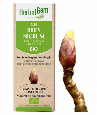 G34 - Ribes Nigrum - Herbalgem - 30ml