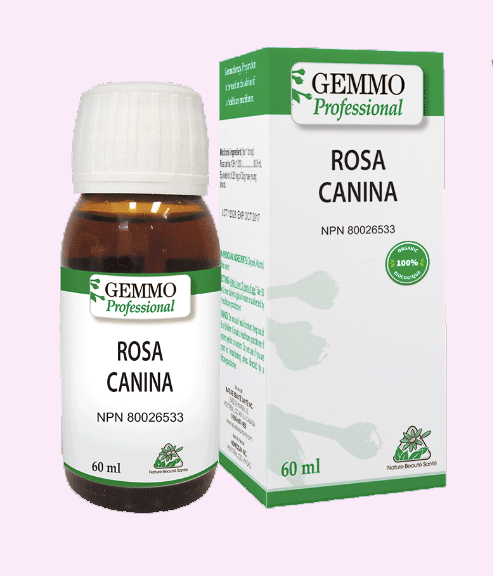 Rosa Canina - Bio - 60ml - GEMMO Professional