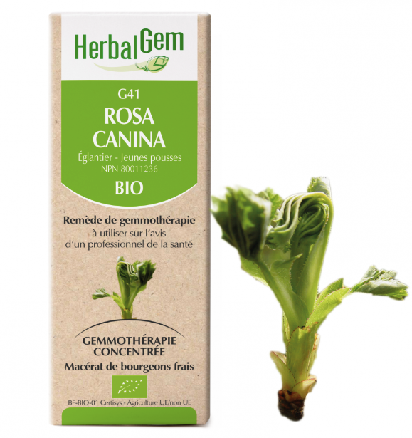 G41 - Rosa Canina - Herbalgem