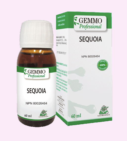 Sequoia Bio - 60ml - GEMMO Professional